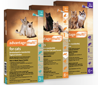 Advantage multi for sales cats